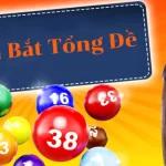 Tổng đề là gì